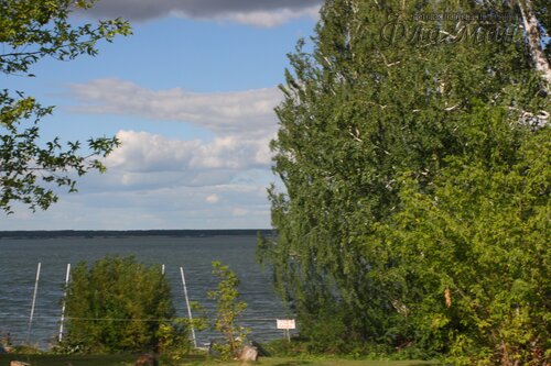 IMG_8594